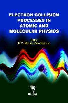Hardcover Electron Collision Processes in Atomic and Molecular Physics Book