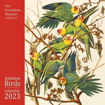 Calendar Fitzwilliam Museum: Audubon Birds Wall Calendar 2023 (Art Calendar) Book