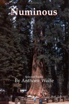 Paperback Numinous Book