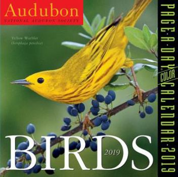 Calendar Audubon Birds Page-A-Day Calendar 2019 Book