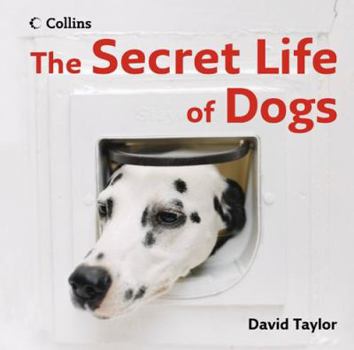 Hardcover The Secret Life of Dogs Book