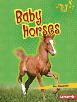 Library Binding Baby Horses Book