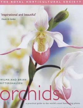 Hardcover Orchids: A Practical Guide to the World's Most Fascinating Plants. Wilma and Brian Rittershausen Book