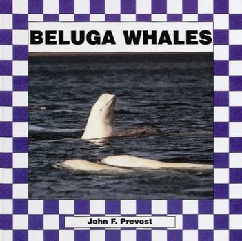 Library Binding Beluga Whales Book