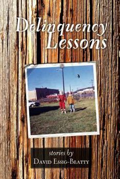 Paperback Delinquency Lessons Book