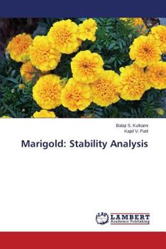 Paperback Marigold: Stability Analysis Book