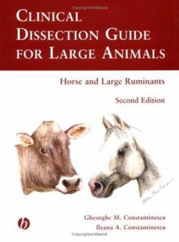 Hardcover Clinical Dissection Guide for Large Animals: Horse and Large Ruminants Book