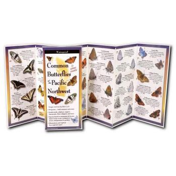 Paperback Butterflies of the Pacific Northwest Book