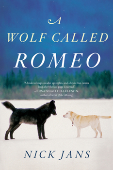 Paperback A Wolf Called Romeo Book