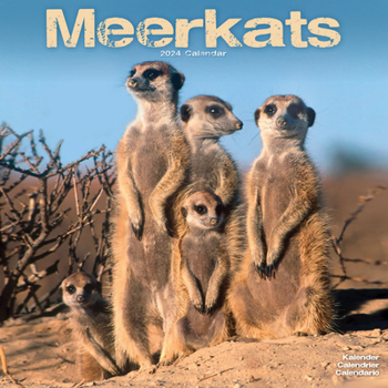 Calendar 2024 Meerkats Wall Calendar Book