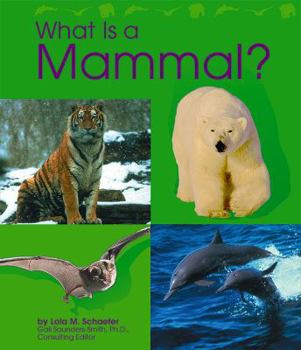 Paperback What Is a Mammal? Book