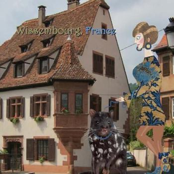 Paperback Wissembourg, France Book