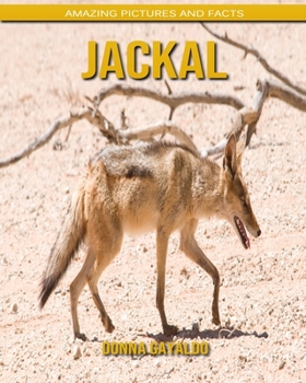 Paperback Jackal: Amazing Pictures and Facts Book
