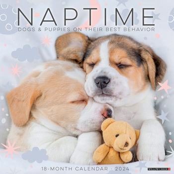 Calendar Naptime (Dogs & Puppies) 2024 12 X 12 Wall Calendar Book