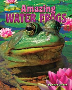 Amazing Water Frogs - Book  of the Amphibiana