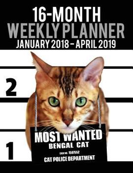 Paperback 2018-2019 Weekly Planner - Most Wanted Bengal Cat: Daily Diary Monthly Yearly Calendar Large 8.5" x 11" Schedule Journal Organizer Book