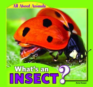 Paperback What's an Insect? Book