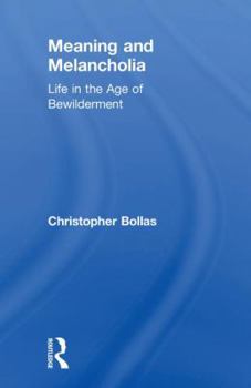 Hardcover Meaning and Melancholia: Life in the Age of Bewilderment Book