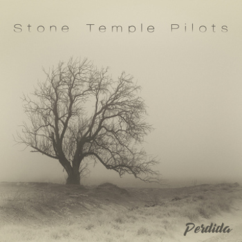 Vinyl Perdida  140 G  Black Book