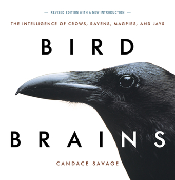 Paperback Bird Brains: The Intelligence of Crows, Ravens, Magpies, and Jays Book