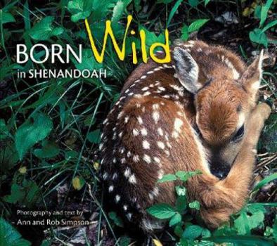 Paperback Born Wild in Shenandoah Book