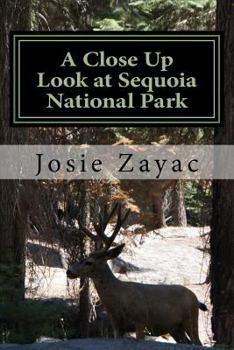 Paperback A Close Up Look at Sequoia National Park Book