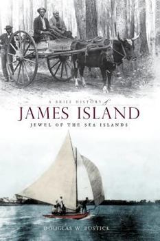Hardcover A Brief History of James Island: Jewel of the Sea Islands Book