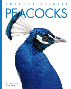 Paperback Peacocks Book