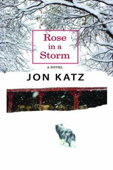 Library Binding Rose in a Storm [Large Print] Book