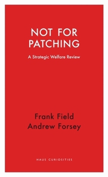 Paperback Not for Patching: A Strategic Welfare Review Book