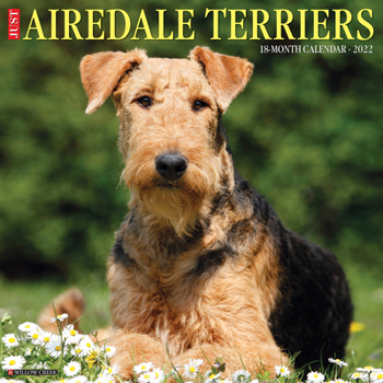 Calendar Just Airedale Terriers 2022 Wall Calendar (Dog Breed) Book