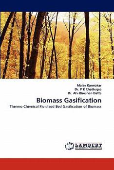 Paperback Biomass Gasification Book