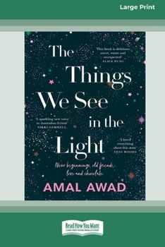 Paperback The Things We See in the Light [16pt Large Print Edition] Book