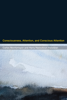 Hardcover Consciousness, Attention, and Conscious Attention Book