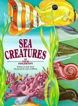 Board book Sea Creatures Book