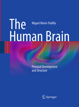Paperback The Human Brain: Prenatal Development and Structure Book