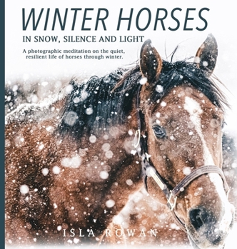 Winter Horses In Snow, Silence and Light: A photographic meditation on the quiet, resilient life of horses through winter.