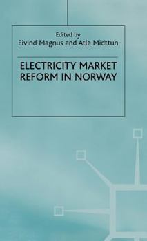 Hardcover Electricity Market Reform in Norway Book