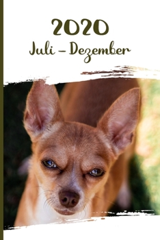 Kalender 2020: Chihuahua Hunde Tageskalender 2. Halbjahr Juli Dezember ca DIN A5 weiß über 190 Seiten (German Edition)
