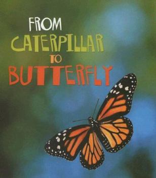 Paperback From Caterpillar to Butterfly (How Living Things Grow) Book