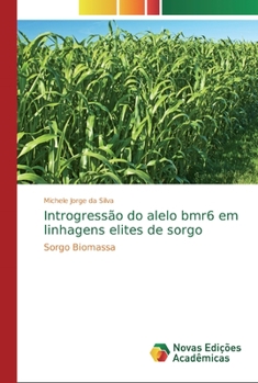 Paperback Introgressão do alelo bmr6 em linhagens elites de sorgo [Portuguese] Book