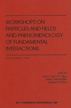Hardcover Workshop on Particles and Fields and Phenomenology of Fundamental Interactions: Puebla, Mexico, October 1995 Book