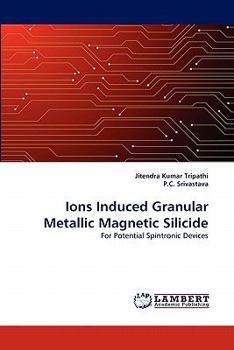 Paperback Ions Induced Granular Metallic Magnetic Silicide Book