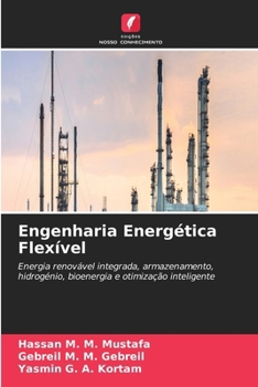 Engenharia Energética Flexível (Portuguese Edition)
