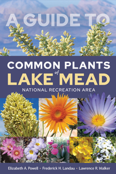 Paperback A Guide to Common Plants of Lake Mead National Recreation Area Book