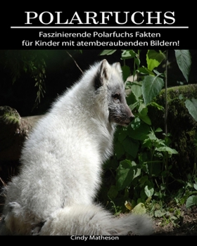 Polarfuchs: Faszinierende Polarfuchs Fakten für Kinder mit atemberaubenden Bildern! (German Edition)