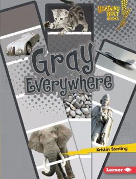 Gray Everywhere - Book  of the Lightning Bolt Books™ ~ Colors Everywhere