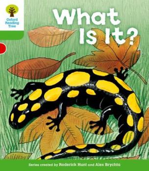 What Is It? - Book  of the Biff, Chip and Kipper storybooks