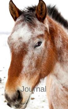 Journal: 5"x 8" 126 page lined soft covered journal, notebook, diary with " brown and white horse " on a matte cover