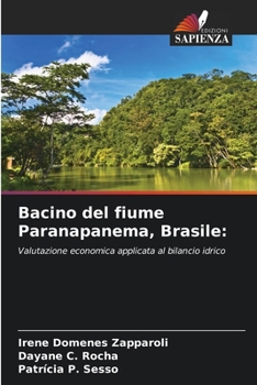 Bacino del fiume Paranapanema, Brasile:: Valutazione economica applicata al bilancio idrico